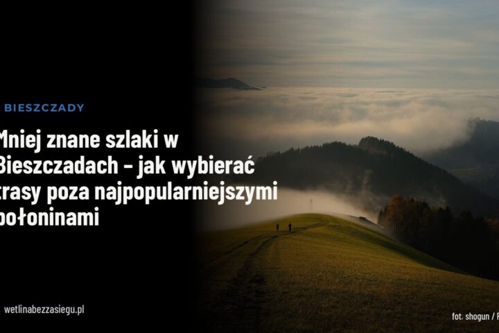 Mniej znane szlaki w Bieszczadach – jak wybierać trasy poza najpopularniejszymi połoninami