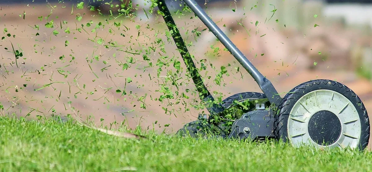 Kosiarka do trawy i ręczny opryskiwacz STIHL — sekret zdrowego trawnika