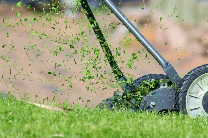 Kosiarka do trawy i ręczny opryskiwacz STIHL — sekret zdrowego trawnika
